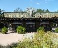 Eingang zum Animal Kingdom